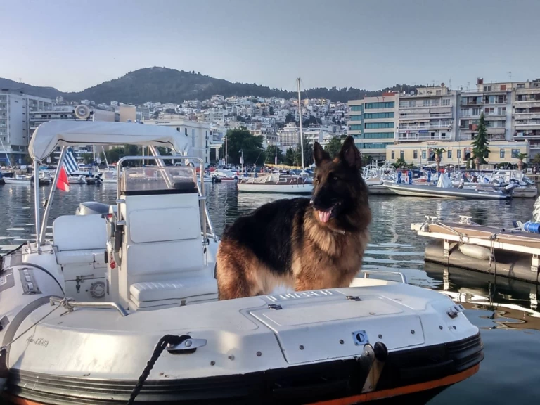 Zar Zar 57 te huur van particulier of professional in Kavála