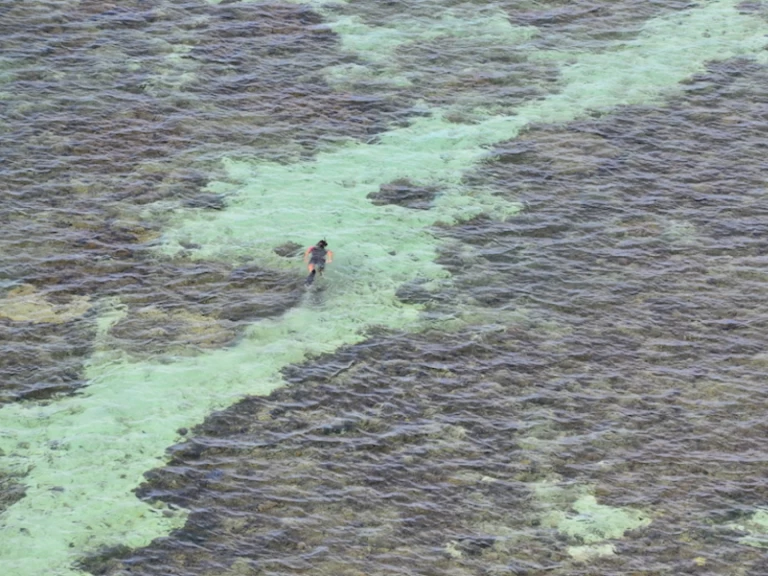 Fountaine Pajot Bahia 46 te huur van particulier of professional in Nouméa