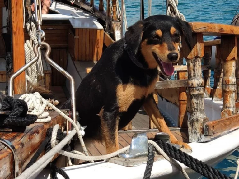 Jachthuur in Crikvenica - GAJETA EX-LIFEBOAT via SamBoat