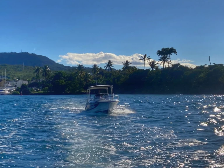 Jachthuur in Les Trois-Îlets - Lobster marion 7,3 via SamBoat