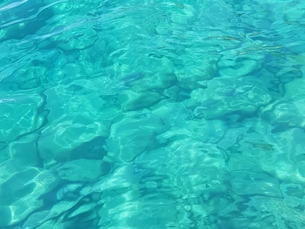 Ranieri Voyager 17 te huur van particulier of professional in La Spezia