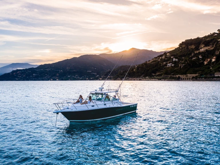 Verhuur Motorboot PURSUIT  met vaarbewijs