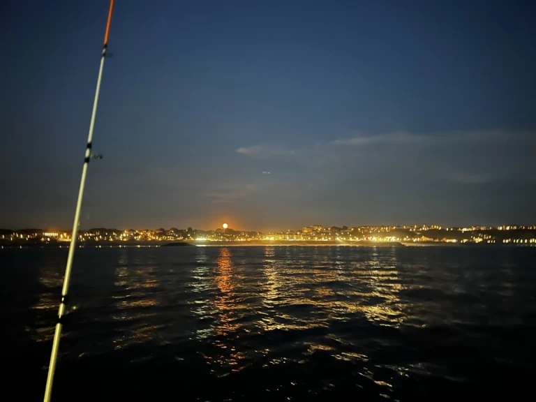 Verhuur Motorboot in Bayonne - Ultramar Ultra 515 Open