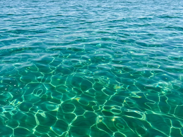 Verhuur Motorboot Sea Ray met vaarbewijs