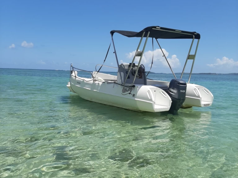 Verhuur Motorboot Whaly met vaarbewijs