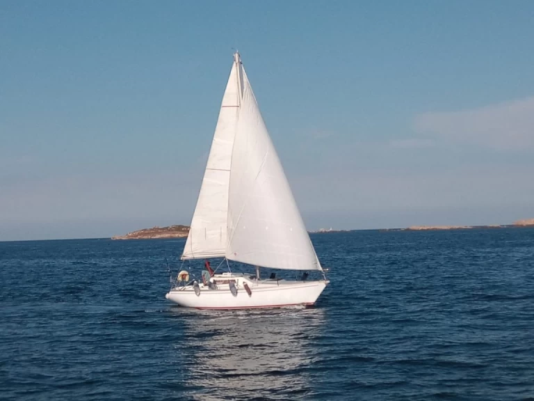 Barberis Sciacchetra te huur van particulier of professional in Santa Teresa Gallura