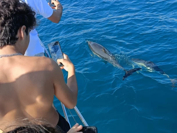 Zeilboot te huur in Fuengirola voor de beste prijs