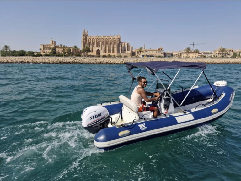 Tiger Tiger SL520 te huur van particulier of professional in Palma de Mallorca