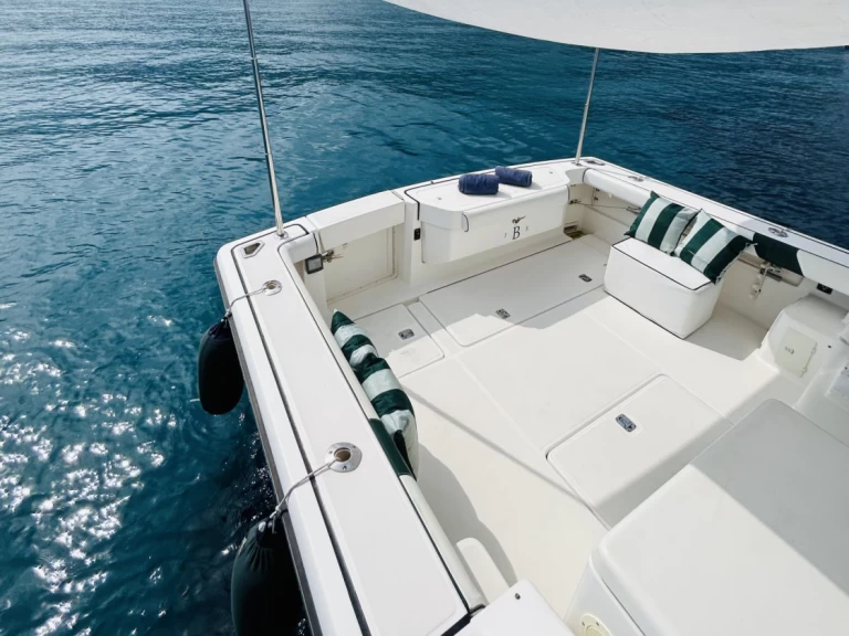 Verhuur Motorboot PURSUIT  met vaarbewijs