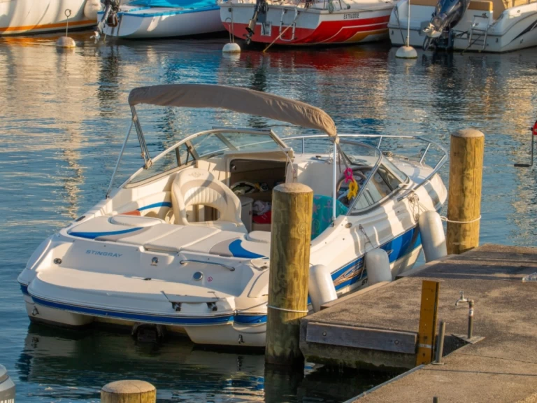 Huur Motorboot met of zonder schipper Stingray in Genève (District)