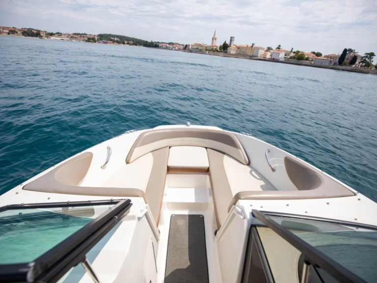 Sea Ray SPX 190 te huur van particulier of professional in Poreč