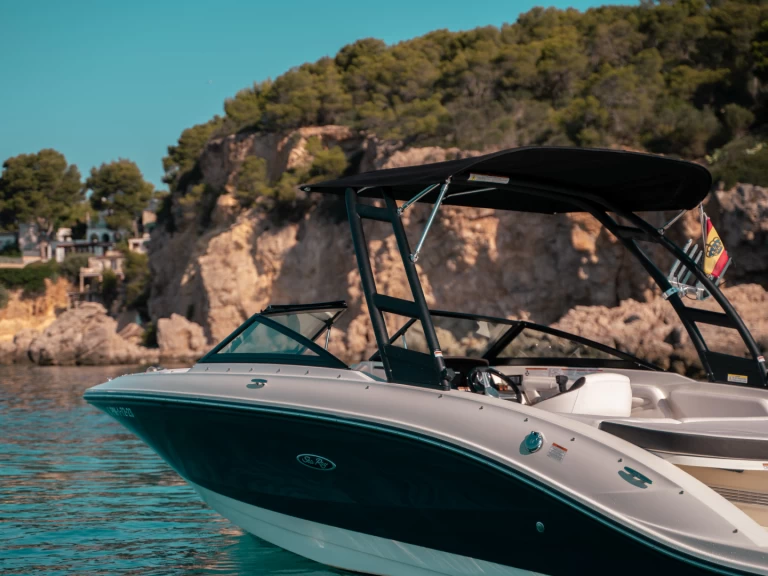 Verhuur Motorboot Sea Ray met vaarbewijs