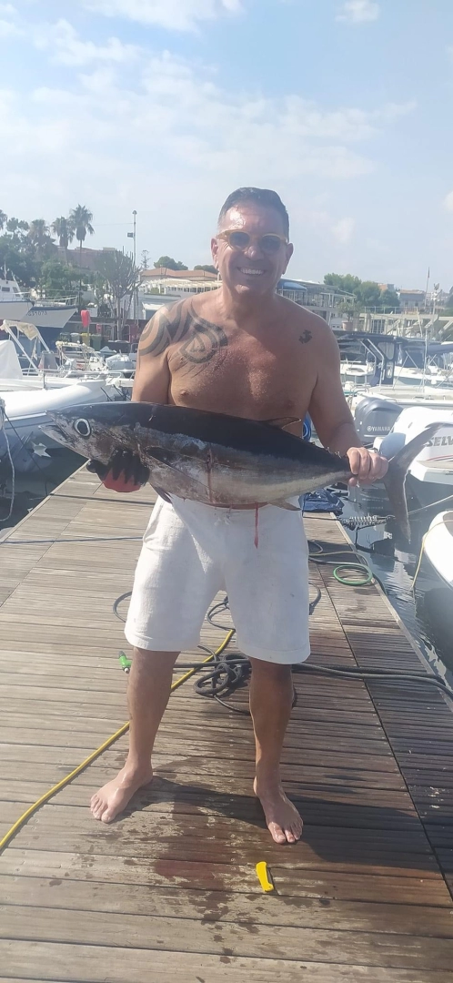 Bootverhuur Sealine Ambassador 360 in Ognina - Picanello - Barriera - Canalicchio via SamBoat