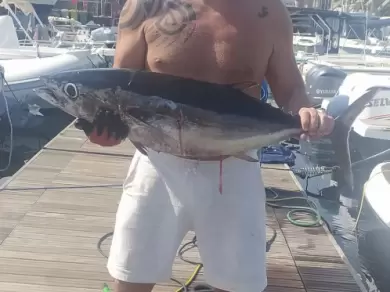 Bootverhuur Sealine Ambassador 360 in Ognina - Picanello - Barriera - Canalicchio via SamBoat