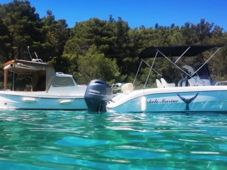 Verhuur Motorboot Fisher met vaarbewijs