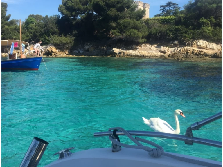 Chris Craft Sea Hawk 213 te huur van particulier of professional in Cannes