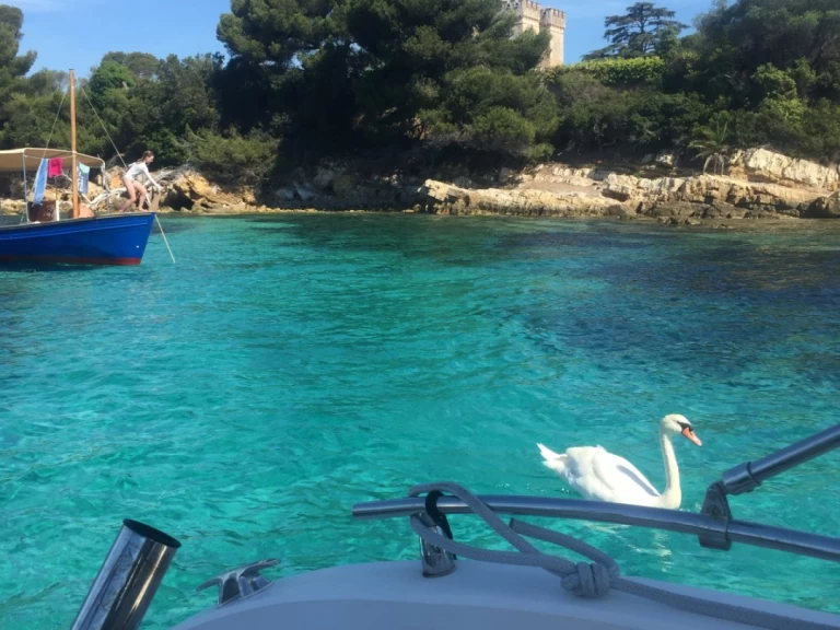 Ranieri Shadow 22 S te huur van particulier of professional in Cannes