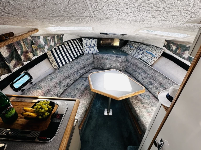 Bayliner Bayliner 2655 Ciera Sunbridge te huur van particulier of professional in Kumbor