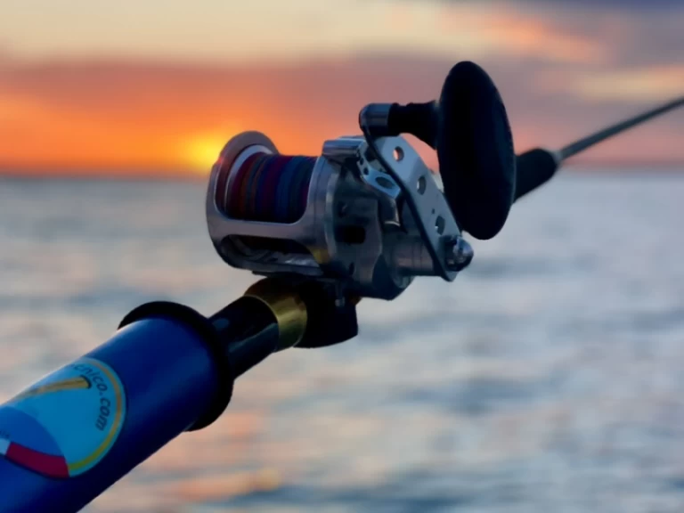 Huur RIB met of zonder schipper Perondi in Porto Cesareo (Port)
