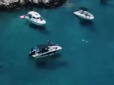 Jachthuur in Marseille - Quicksilver Activ 605 Open via SamBoat