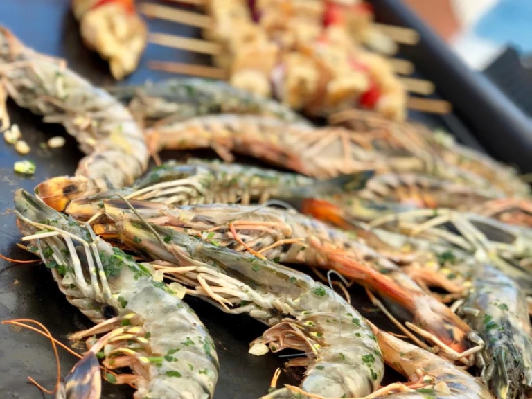 Verhuur Catamaran Plan-Caroff met vaarbewijs