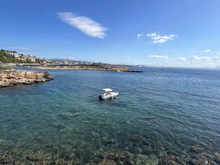 Verhuur Motorboot in Palma de Mallorca - Estable 400