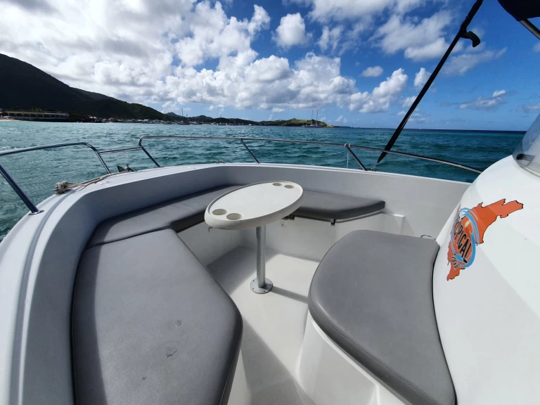 Huur Motorboot met of zonder schipper Jeanneau in Marigot