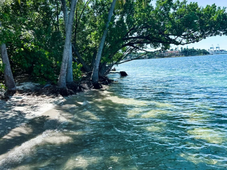 Sea Ray Sea Ray 270 Sundeck Outboard te huur van particulier of professional in Miami