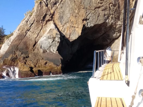 Motorboot te huur in Armação dos Búzios voor de beste prijs