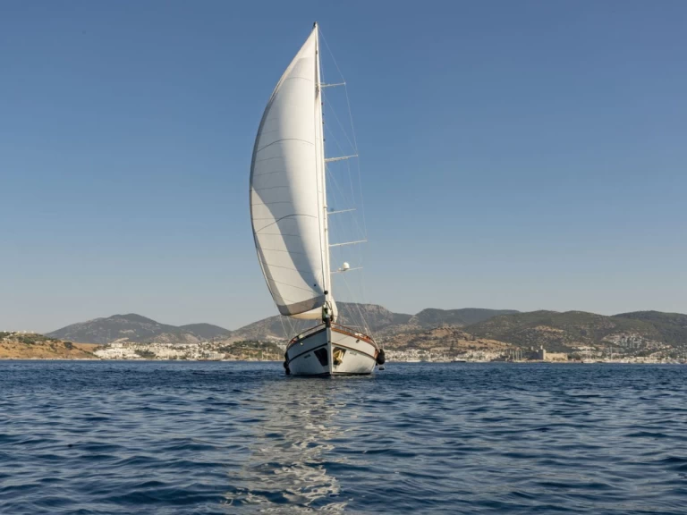 Verhuur Zeilboot Custom Made met vaarbewijs