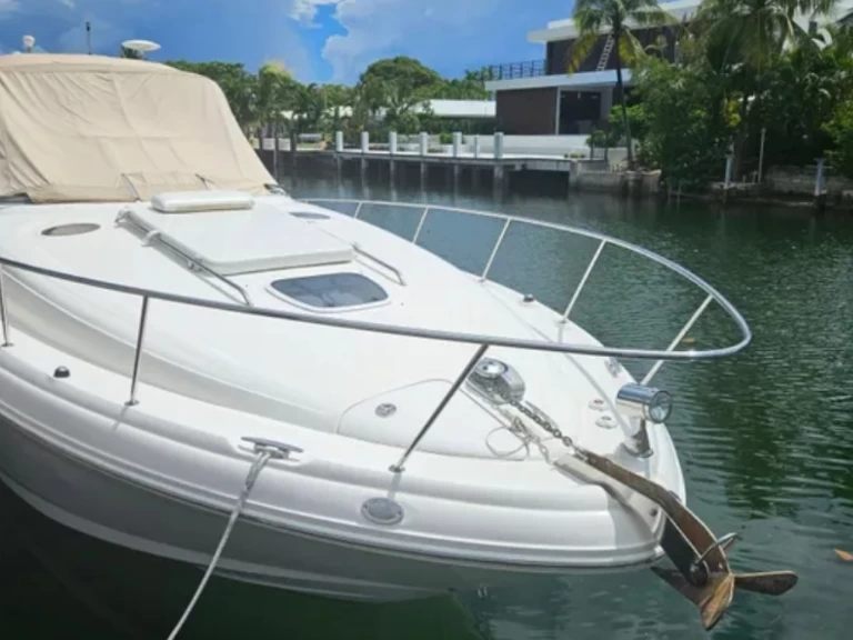 Verhuur Motorboot Sea Ray met vaarbewijs