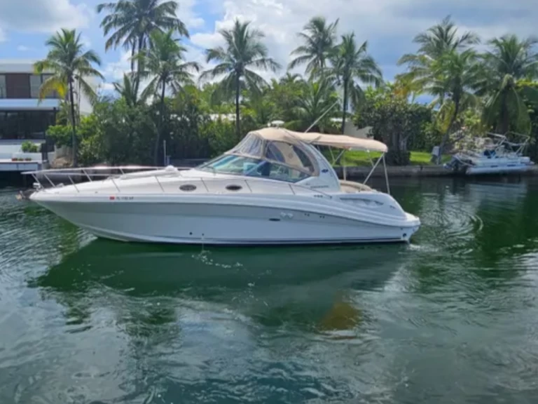Sea Ray Sea Ray 340 Sundancer te huur van particulier of professional in Miami