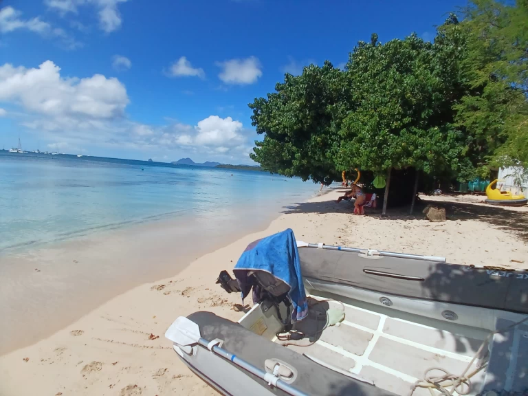 Bootverhuur Bavaria Bavaria 46 Cruiser in Le Marin via SamBoat