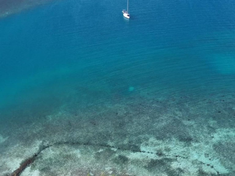 Verhuur Zeilboot Jeanneau met vaarbewijs
