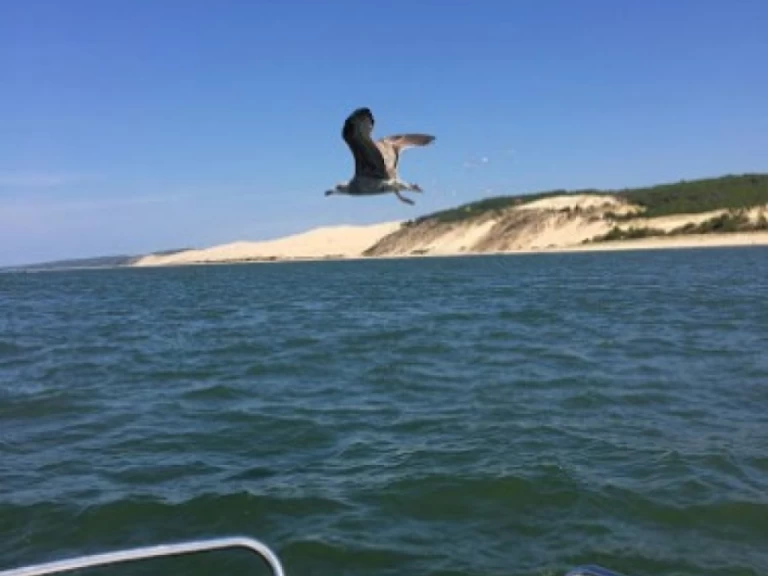 Verhuur Motorboot Bénéteau met vaarbewijs