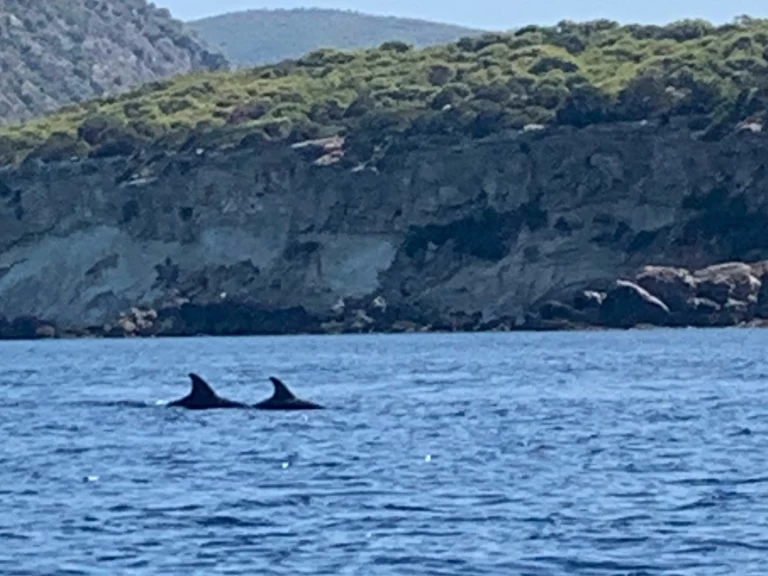 Verhuur Motorboot Assos Marine met vaarbewijs