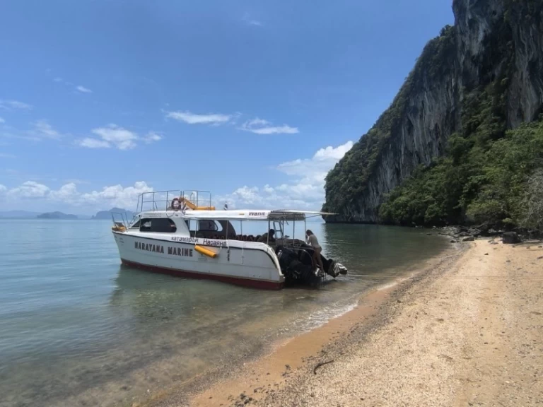 Verhuur Catamaran Austhai At met vaarbewijs