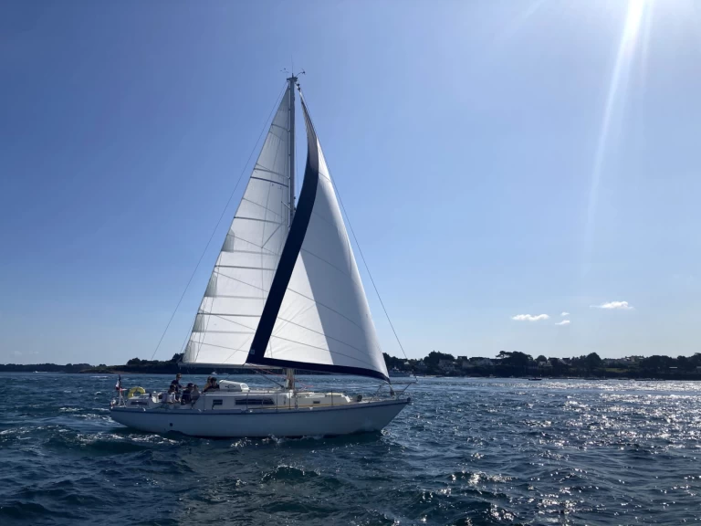 Huur een Amel kirk 36 in Saint-Mandrier-sur-Mer