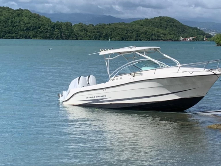 Verhuur Motorboot hydra sport met vaarbewijs