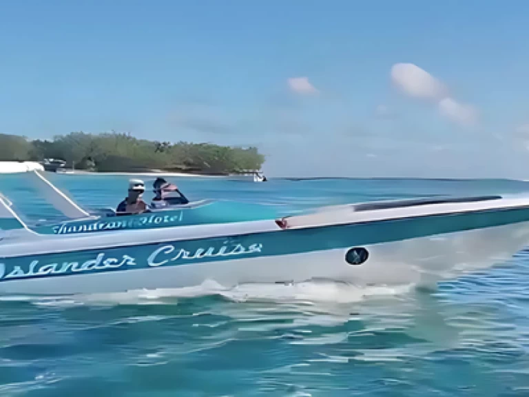 Huur Motorboot met of zonder schipper Cobra in Blue bay