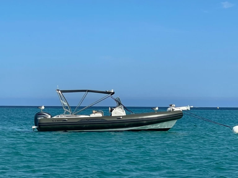 Verhuur RIB in Port Grimaud - Capelli Tempest 775 SUN