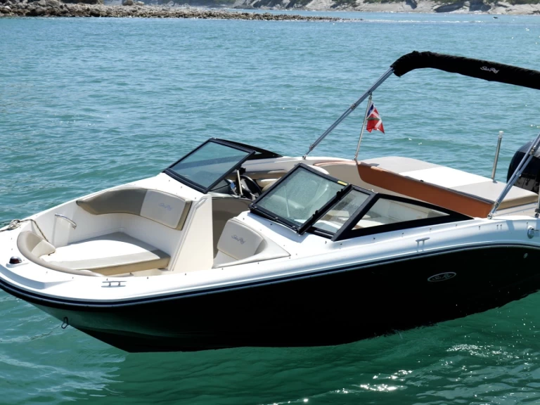 Bootverhuur Sea Ray Sea Ray 19 SPX OB in Anglet via SamBoat