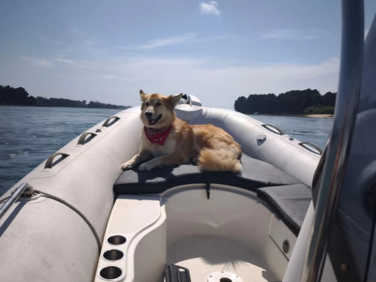 Huur RIB met of zonder schipper Zodiac in Larmor-Baden