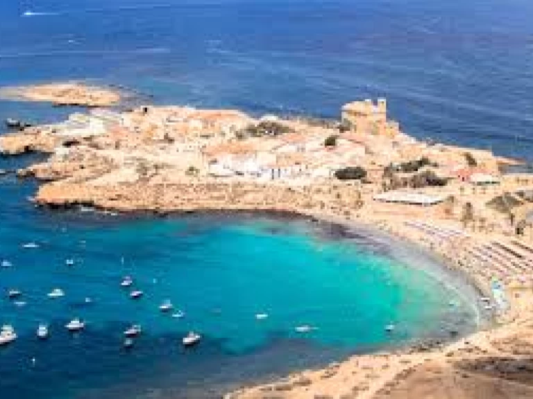 Huur Motorboot met of zonder schipper Searib's in Port d'Alicante