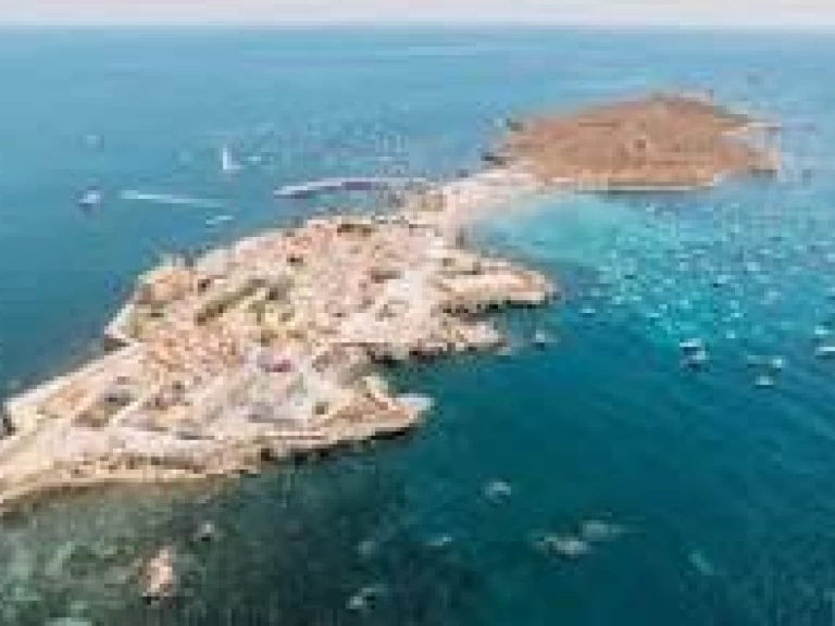 Verhuur Motorboot Searib's met vaarbewijs