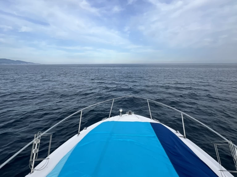 Bootverhuur Sea Ray Sea Ray 335 Sundancer in Monaco via SamBoat