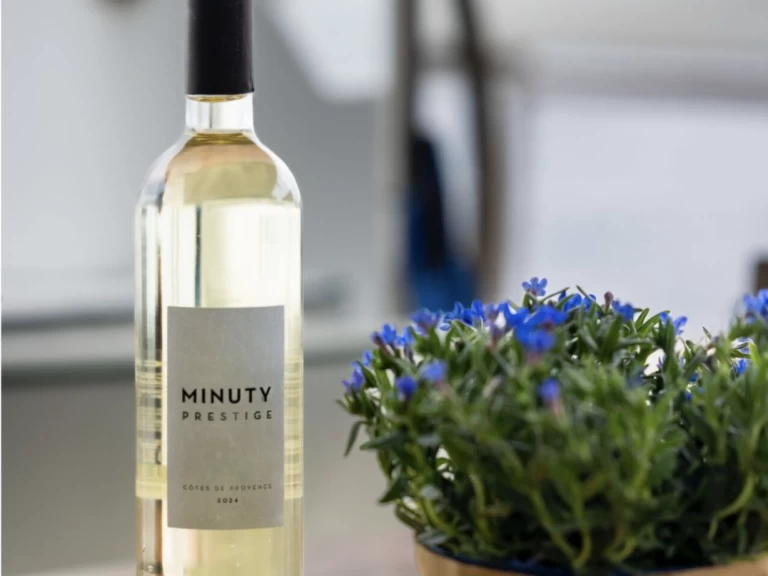 Verhuur Catamaran Lagoon met vaarbewijs