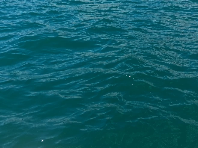 Huur een Bénéteau Flyer 650 WA in Le Cap d'Agde