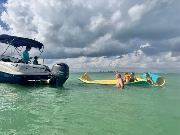 Sea Ray Sea Ray 260 Sundeck te huur van particulier of professional in Miami