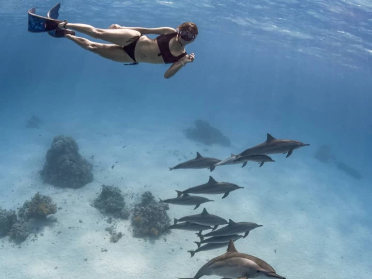 Jachthuur in Marsa Alam - Bali Bali 4.0 via SamBoat